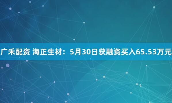 广禾配资 海正生材：5月30日获融资买入65.53万元