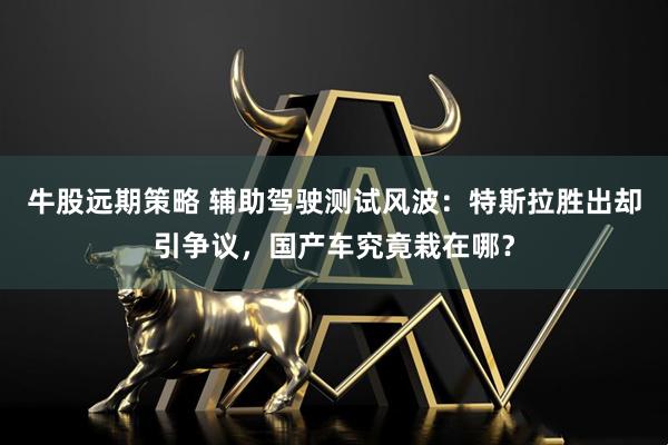 牛股远期策略 辅助驾驶测试风波：特斯拉胜出却引争议，国产车究竟栽在哪？