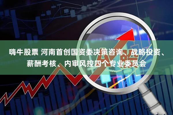 嗨牛股票 河南首创国资委决策咨询、战略投资、薪酬考核、内审风控四个专业委员会