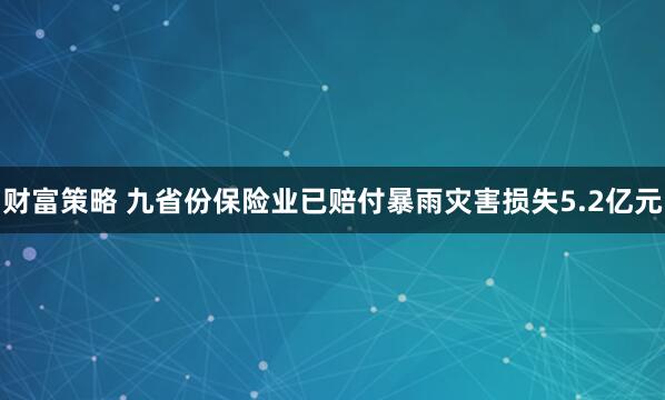 财富策略 九省份保险业已赔付暴雨灾害损失5.2亿元