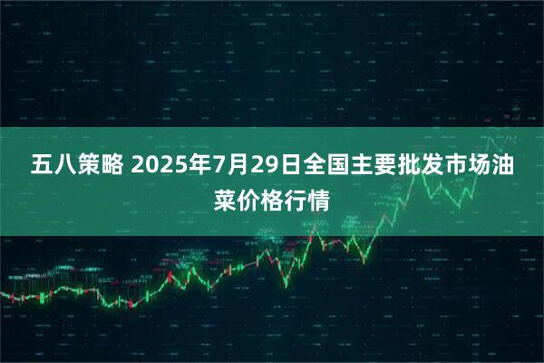 五八策略 2025年7月29日全国主要批发市场油菜价格行情