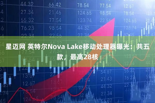 星迈网 英特尔Nova Lake移动处理器曝光：共五款，最高28核