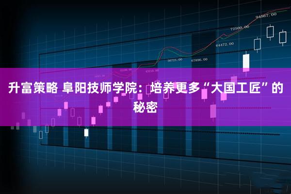 升富策略 阜阳技师学院:培养更多“大国工匠”的秘密